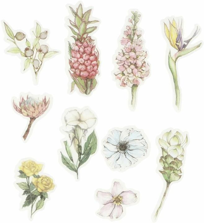 Creativ Company Fleurs