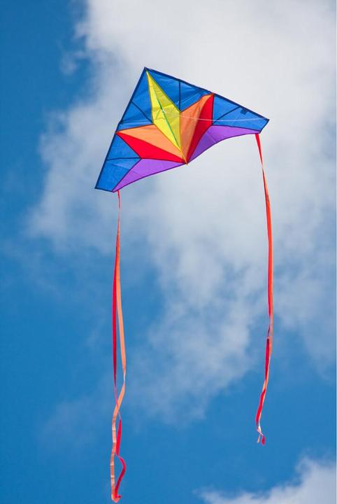 Actual product image Invento Dragon Delta Star