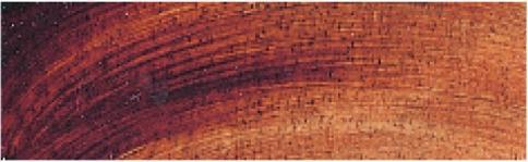 Image du produit Talens Oelfarbe Rembrandt Style de grain (15 ml)