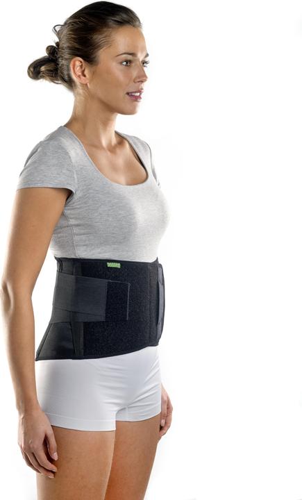 Image du produit BraceID Contoured Back Support (L)