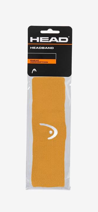 Actual product image Head Headband