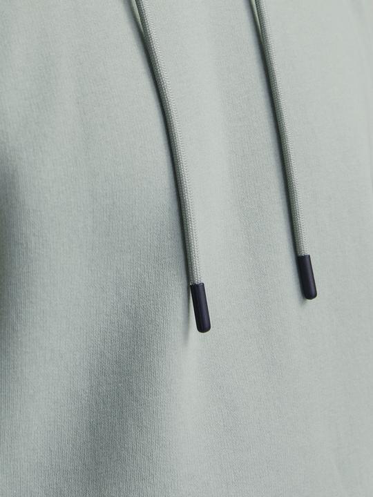 Produktbild Jack & Jones Jjebradley Sweat Hood Noos (XS)