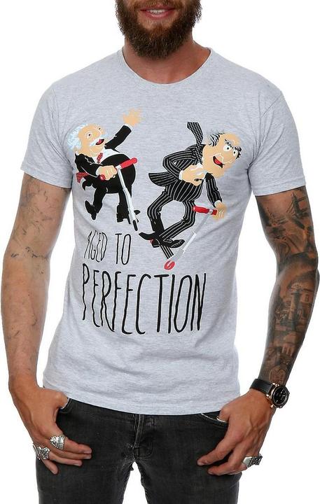 Produktbild Gildan Aged To Perfection TShirt (XL)