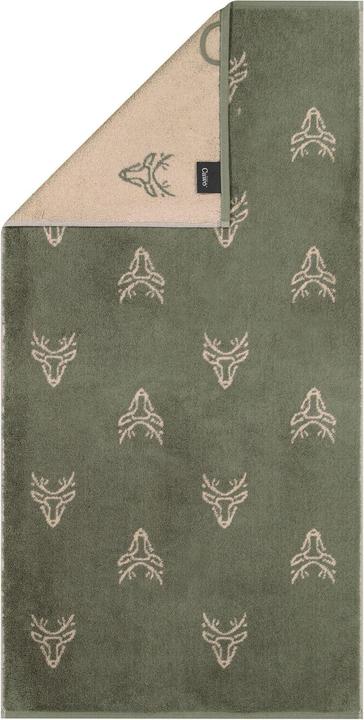 Pin sylvestre