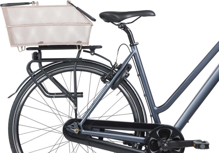 Image du produit Basil Cento (12 l)