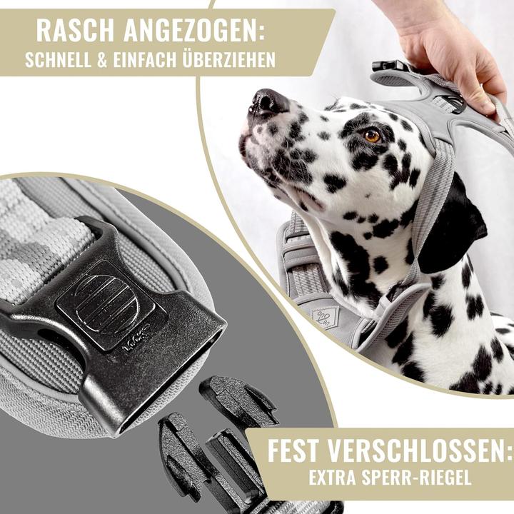Actual product image Ne&no Hundegeschirr mit Ruckdämpfer (XL, Dog)