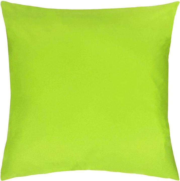 Citron vert