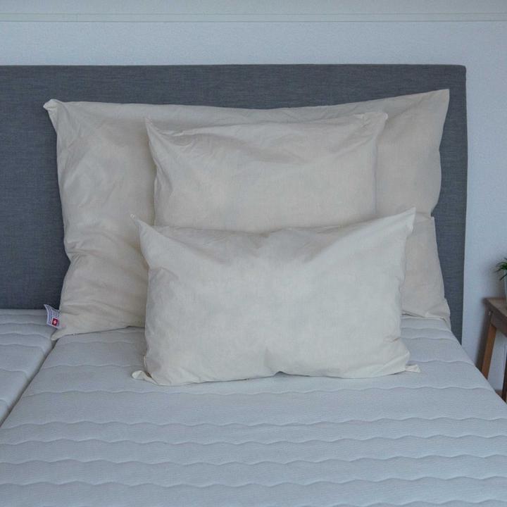 Image du produit Alpur Oreiller en laine de mouton (50 x 60 cm)