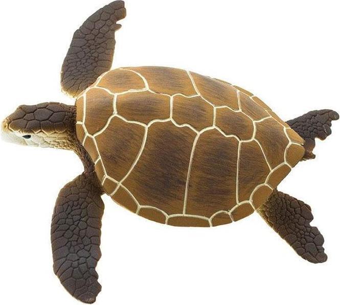Actual product image Safari Brown green turtle