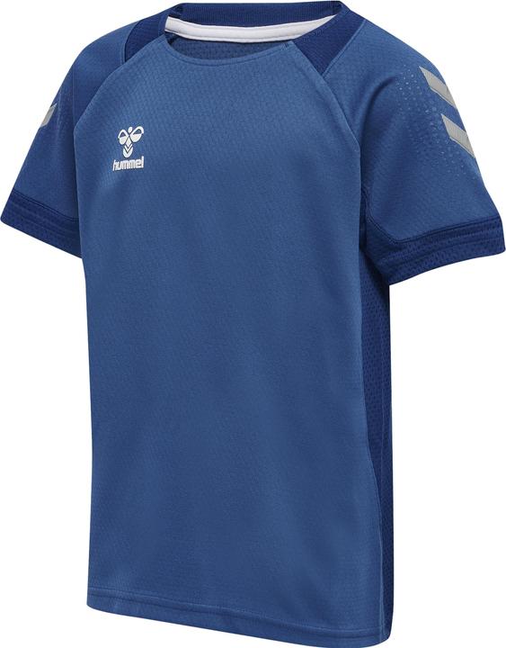 Vrai bleu