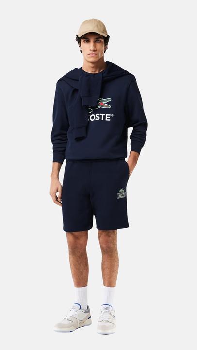 Actual product image Lacoste Pullover sweatshirt (XL)