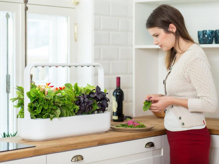 Produktbild Click and Grow Smart Garden 9 (62.50 cm)