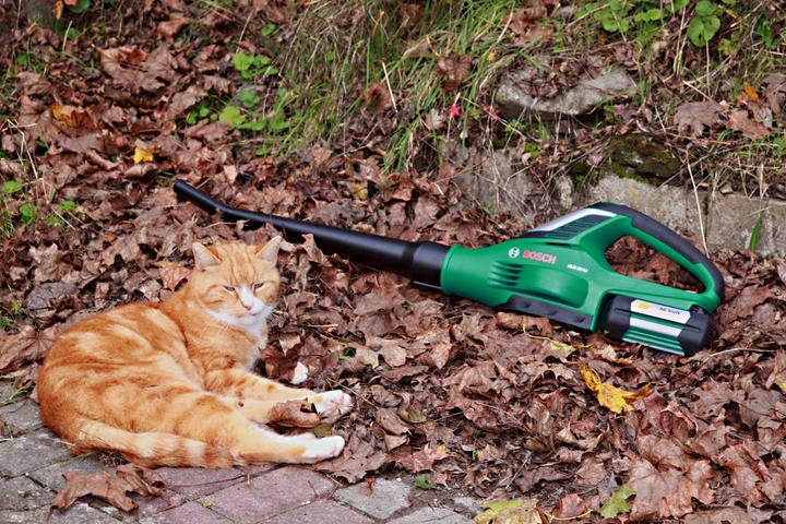 Image du produit Bosch Home & Garden ALB 36 LI (sans batterie) (Fonctionnement sur batterie, Aspirateurs à feuilles)
