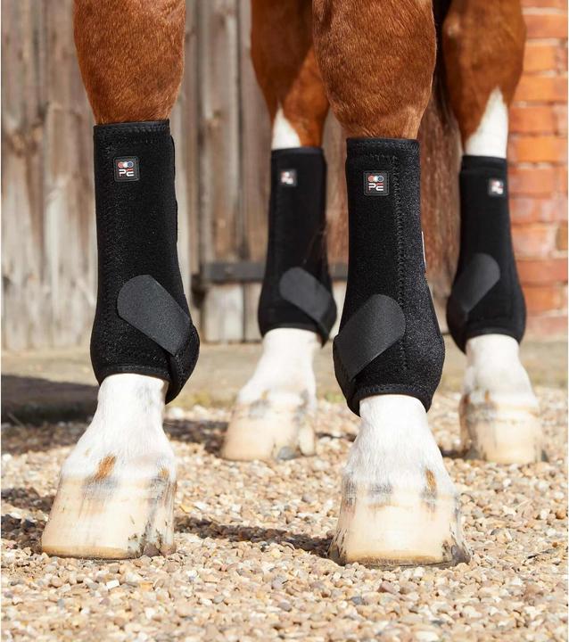 Immagine prodotto Premier Equine stinchiere per cavallo preier equine air-tech sports edecine