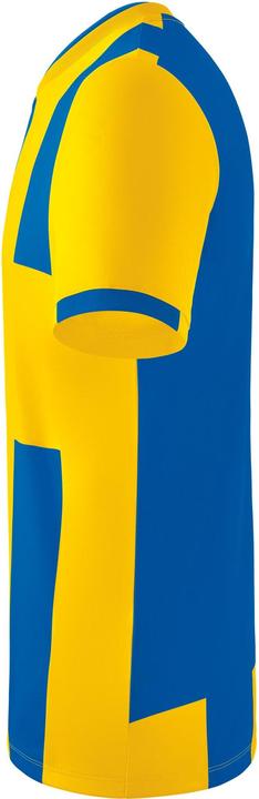 Actual product image Erima Siena 3.0 jersey (152)