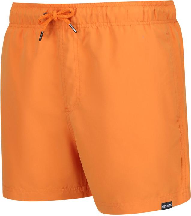 Actual product image Regatta Mens Mawson II Swim Shorts (XXL)