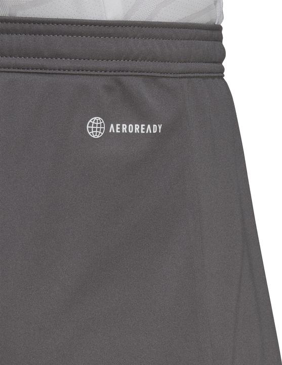 Actual product image adidas Entrada 22 Shorts (3XL)