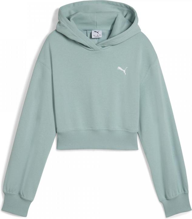 Image du produit Puma WARDROBE ESS Short Length Hoodie TR G (164)