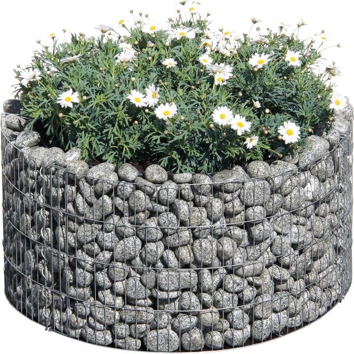 Image du produit Bellissa Ronde de base