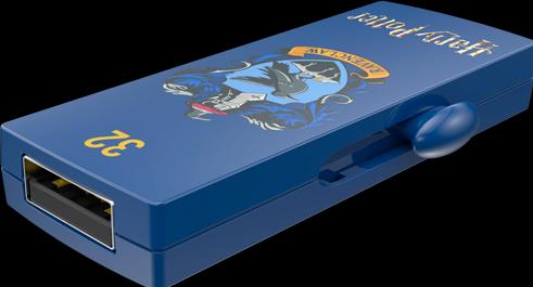 Immagine prodotto Emtec M730 Harry Potter Ravenclaw (32 GB, USB-A)