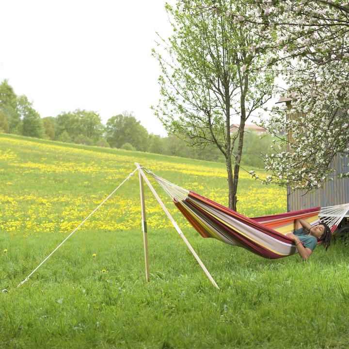 Immagine prodotto Amazonas Madera (100 kg)