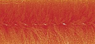 Actual product image Rayher Chenille wire, orange, 10 pieces (0.50 m)