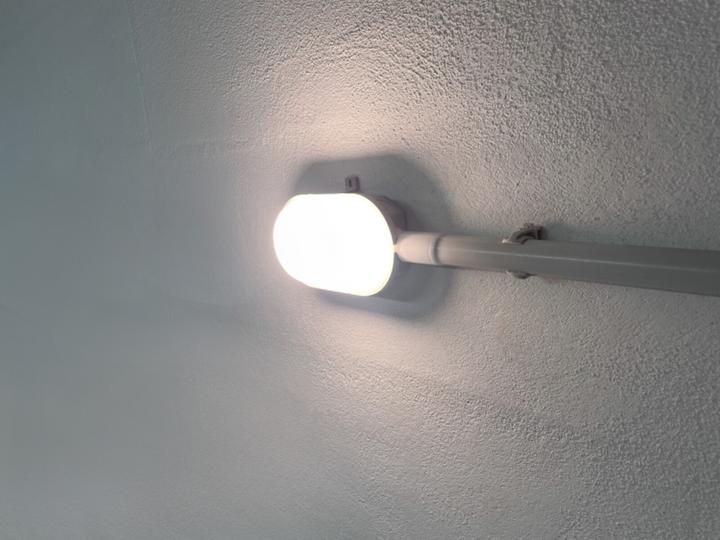 Actual product image IDV LED oval luminaire (1000 lm)