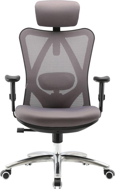 Actual product image Sihoo Office chair with lumbar support