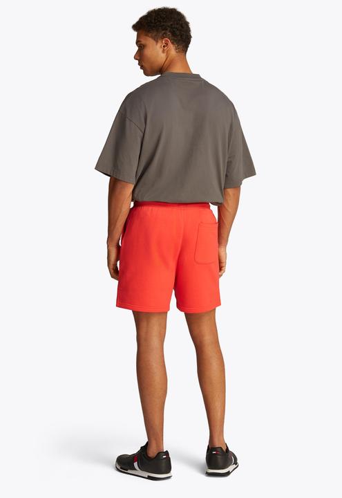 Actual product image Tommy Jeans 10021365 (L)