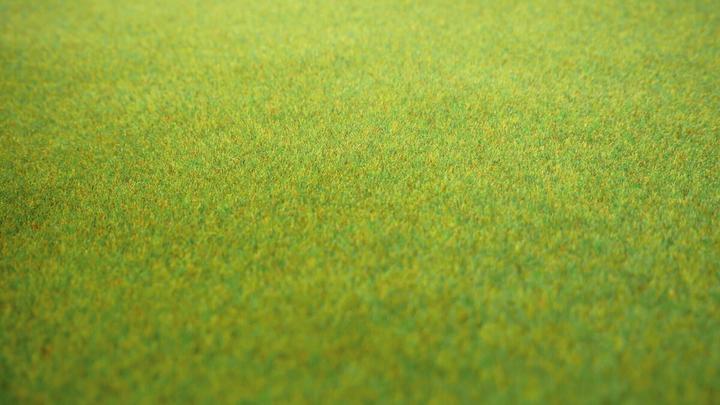 Image du produit Noch Tapis de terrain prairie printanière (L