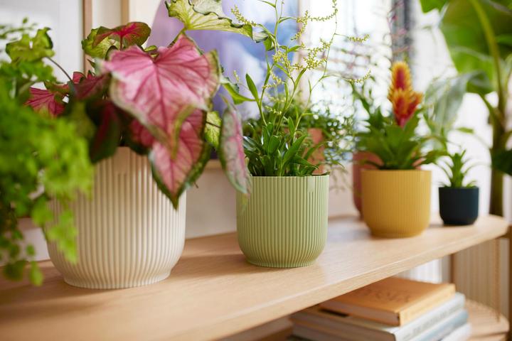 Produktbild Elho Vibes Fold (25 cm)
