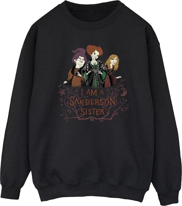 Produktbild Disney Hocus Pocus Sanderson Sister Sweatshirt (XXL)