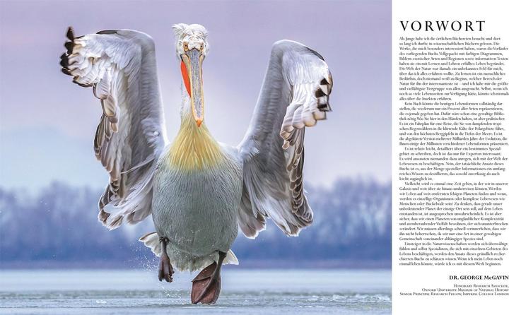 Immagine prodotto Die Natur in über 5000 Fotos (Tedesco, David Bernie, 2021)