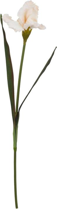 Actual product image Hill Interiors The Natural Garden Collection Fringed Iris Artificial Flower (83 cm)