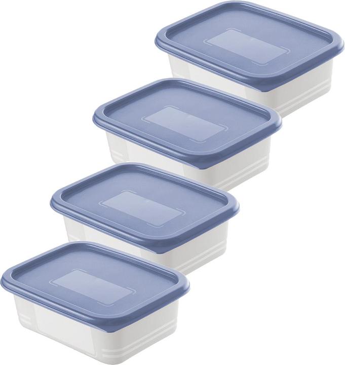 Rotho Gefrierdosen Set (0.50 l)