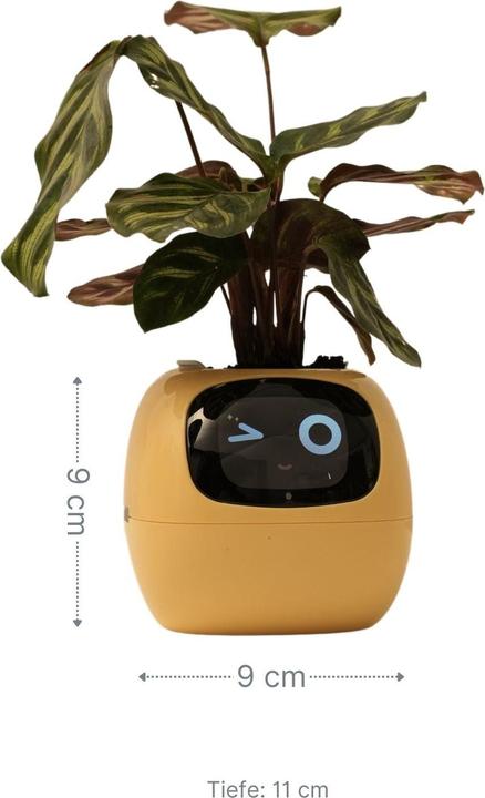 Actual product image Hermex Electronic flower pot Smart flower pot (11 cm)