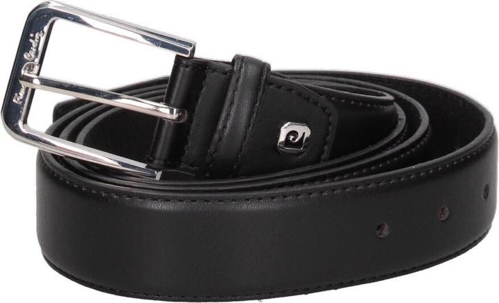 Produktbild Pierre Cardin 14Gg16