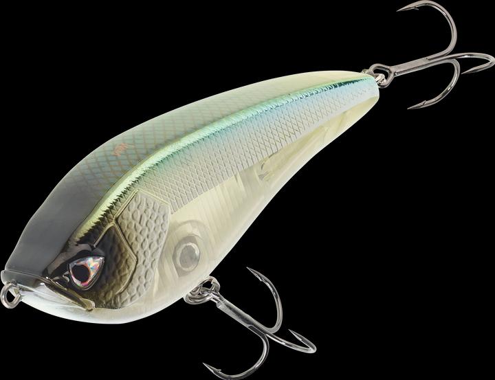 Immagine prodotto Caperlan 100SP (10 cm)