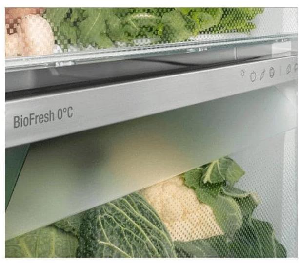 Image du produit Liebherr BioFresh Réfrigérateur pose libre Prime RBa 4250 acier inoxydable noir (160 l)