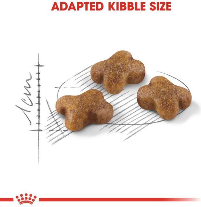 Produktbild Royal Canin Kitten 36 (Junior, 1 Stk., 2000 g)