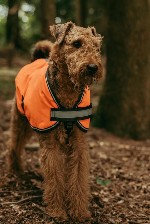 Produktbild Weatherbeeta Comfitec Reflektierender Parka 300D Hundemantel (30, Hundemantel)