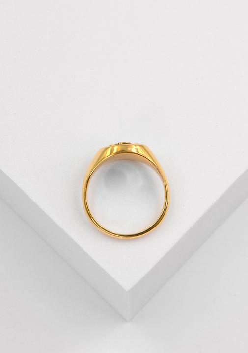 Produktbild Muau Wappenring (61, 750/18 K Gold)