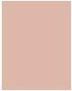 Produktbild L'Oréal Paris Infallible 24H Matte Cover (25 Rose Ivory)