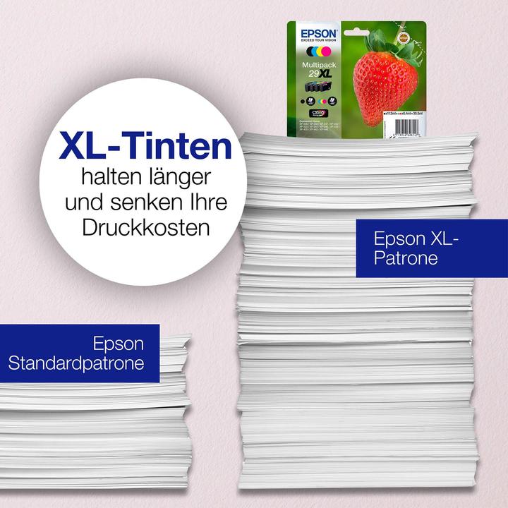 Actual product image Epson 29 Claria Home (FC)