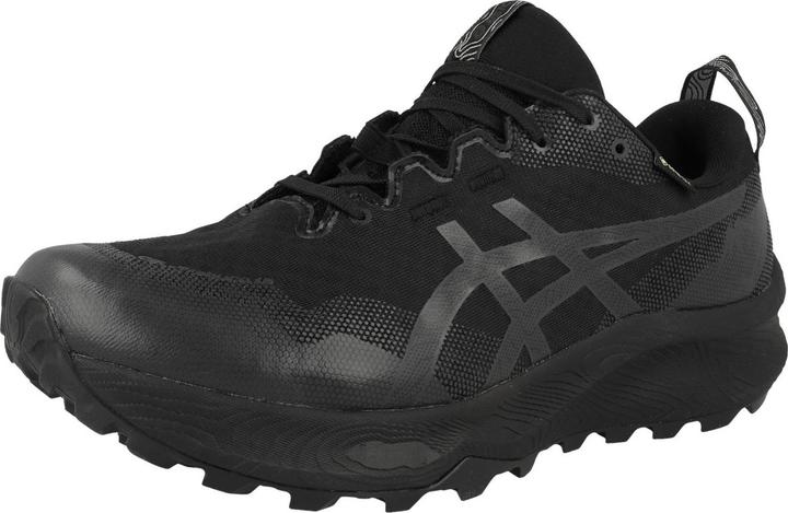 Image du produit ASICS Performance Gel Trabuco 12 GTX (42)