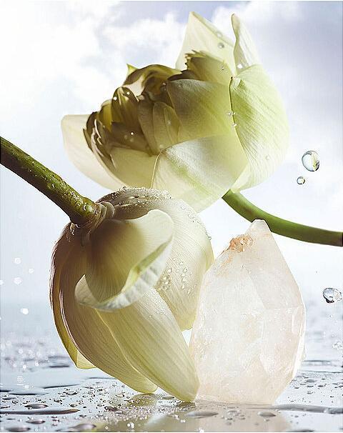 Image du produit Bulgari Rain Essence Eau de Parfum (Eau de parfum, 100 ml)