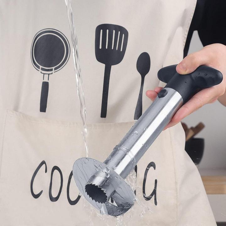 Actual product image ASMI Stainless steel pineapple corer, pineapple slicer black