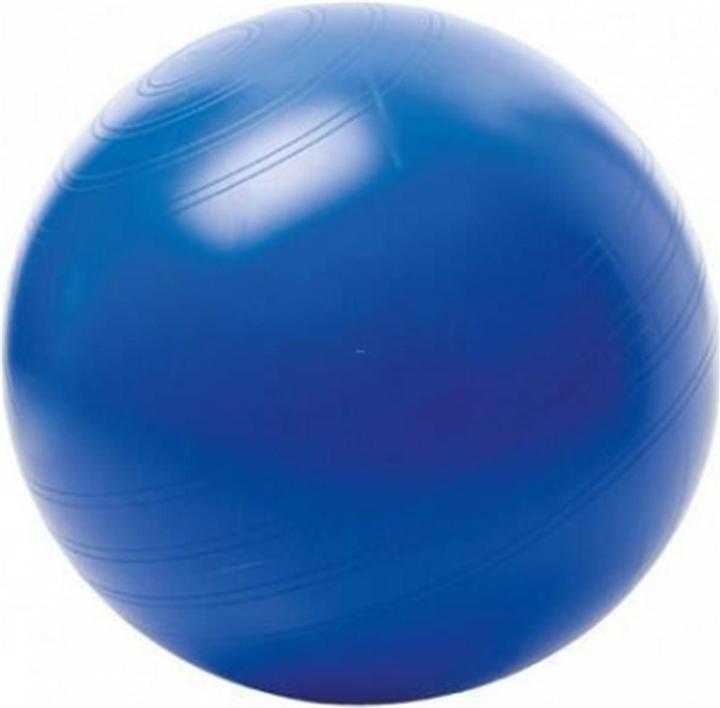 Actual product image Togu Sit ball (55 cm)