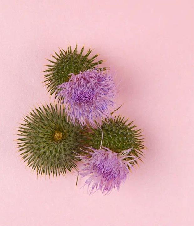 Actual product image NIVEA Naturally Good (50 ml, Night cream)