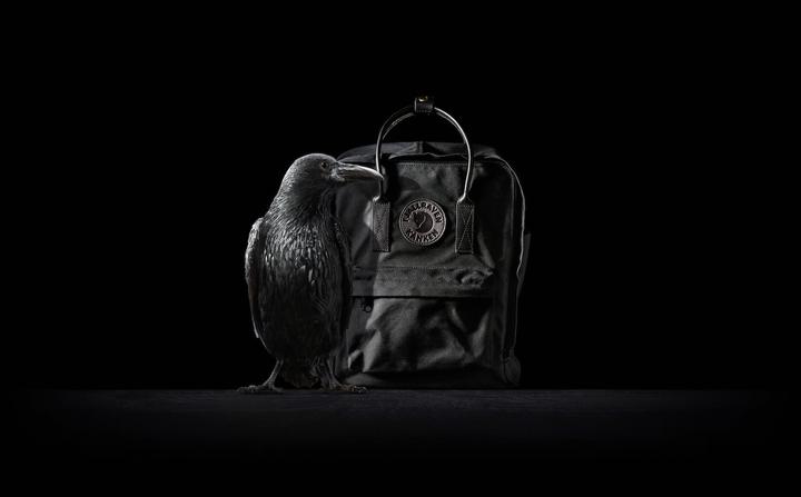 Actual product image Fjällräven Kånken No. 2 (16 l)